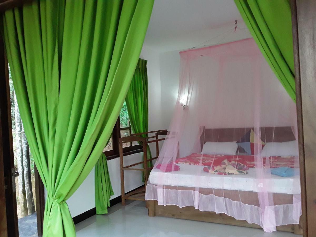 Nine Arch Araliya Homestay Ella Buitenkant foto